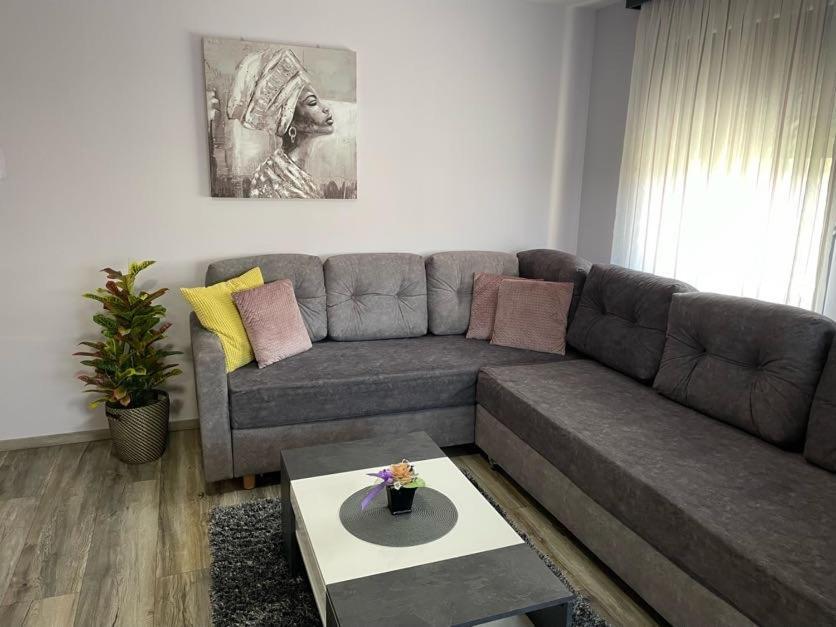 Apartments Dora Sveti Martin Na Muri Exteriér fotografie